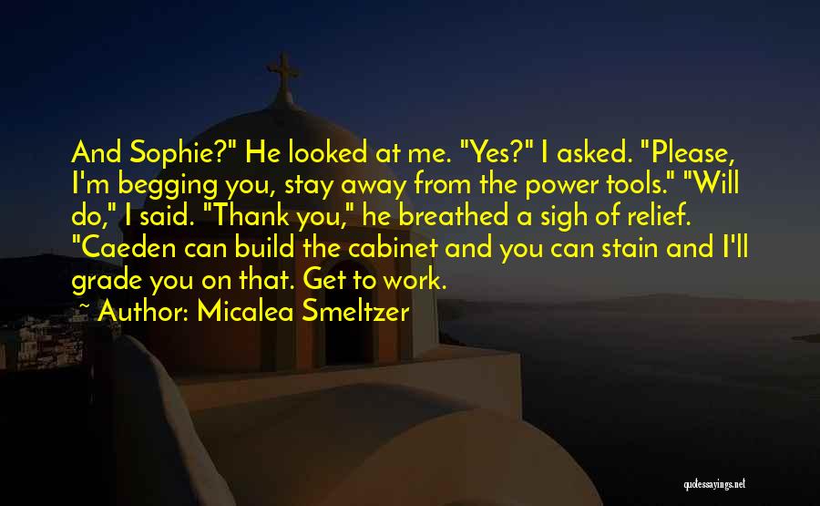 Begging You Quotes By Micalea Smeltzer