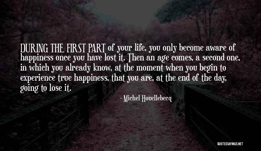 Begin A Day Quotes By Michel Houellebecq Begin A Day Quotes By Michel Houellebecq