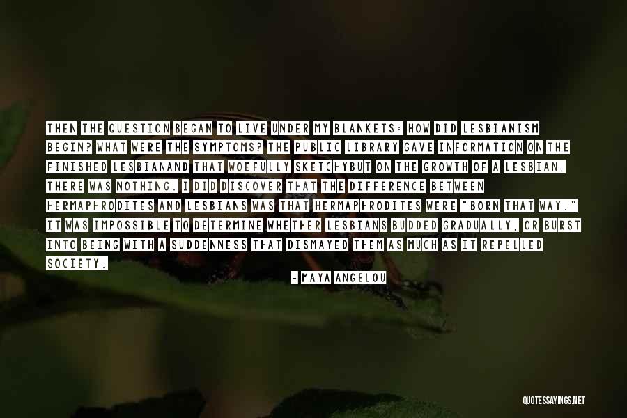 Begin And Began Quotes By Maya Angelou Begin And Began Quotes By Maya Angelou