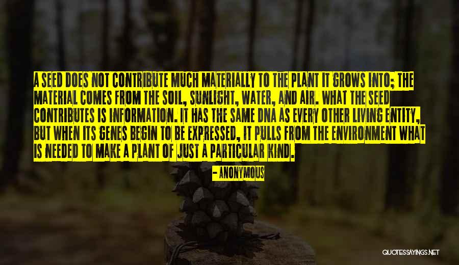 Begin To Quotes By Anonymous Begin To Quotes By Anonymous