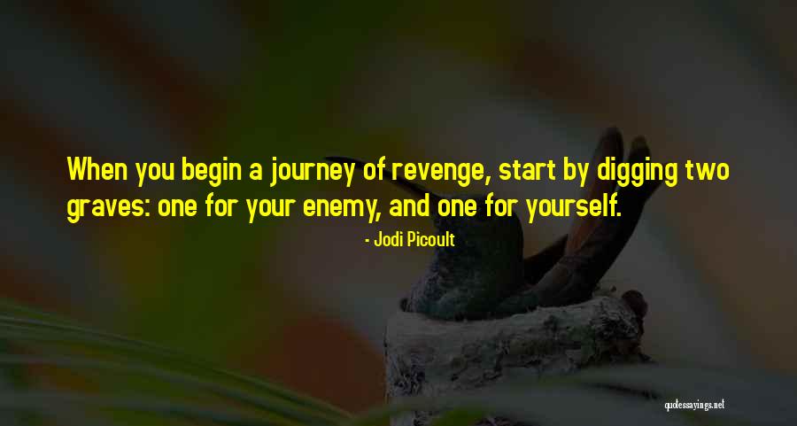 Begin Your Journey Quotes By Jodi Picoult Begin Your Journey Quotes By Jodi Picoult