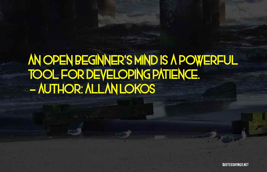 Beginner Quotes By Allan Lokos