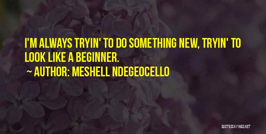 Beginner Quotes By Meshell Ndegeocello