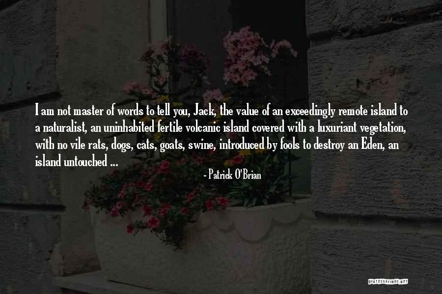 Beginners Relationships Quotes By Patrick O'Brian Beginners Relationships Quotes By Patrick O'Brian