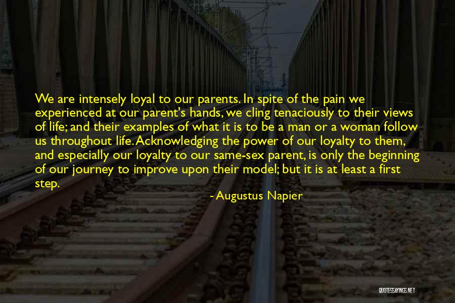 Beginning A Journey Quotes By Augustus Napier