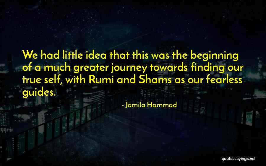 Beginning A Journey Quotes By Jamila Hammad