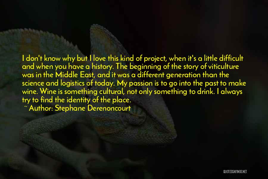 Beginning A Story Quotes By Stephane Derenoncourt