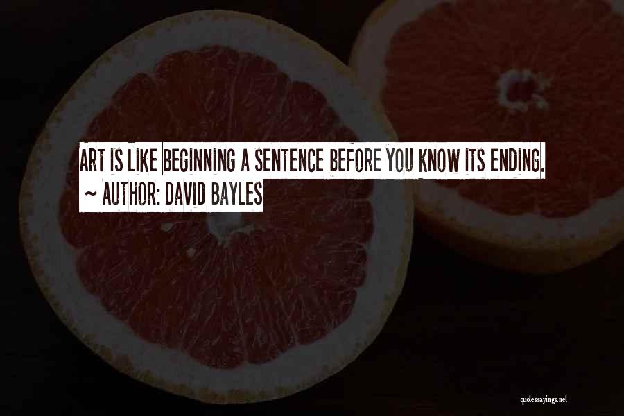 Beginning Art Quotes By David Bayles