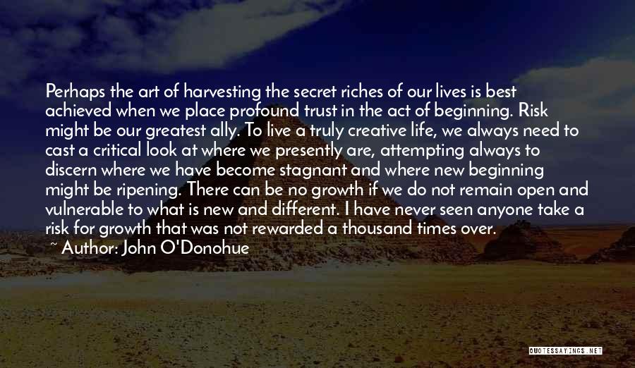 Beginning Art Quotes By John O'Donohue