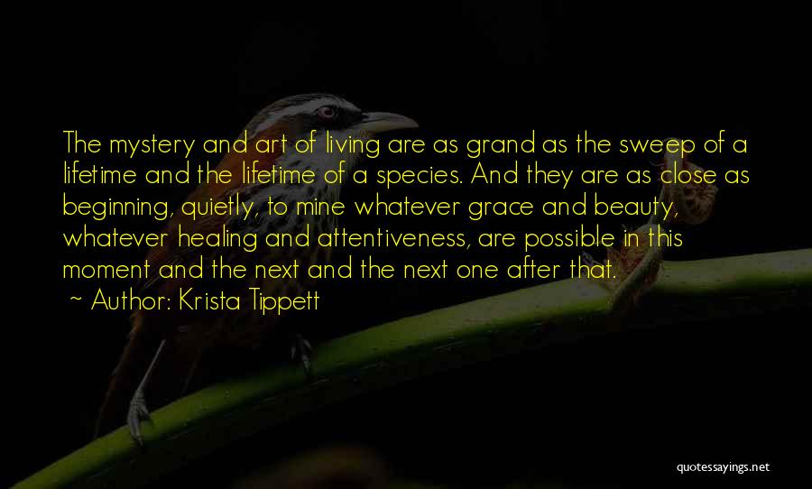 Beginning Art Quotes By Krista Tippett