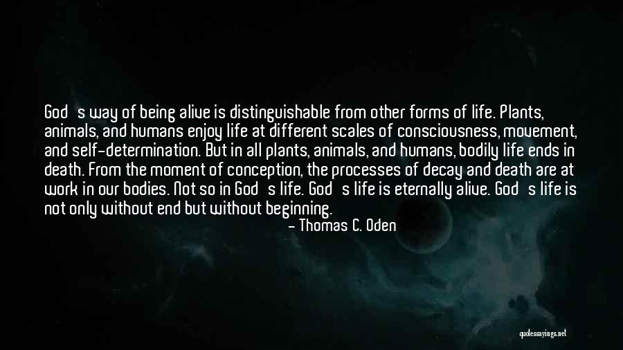 Beginning End In God Quotes By Thomas C. Oden Beginning End In God Quotes By Thomas C. Oden