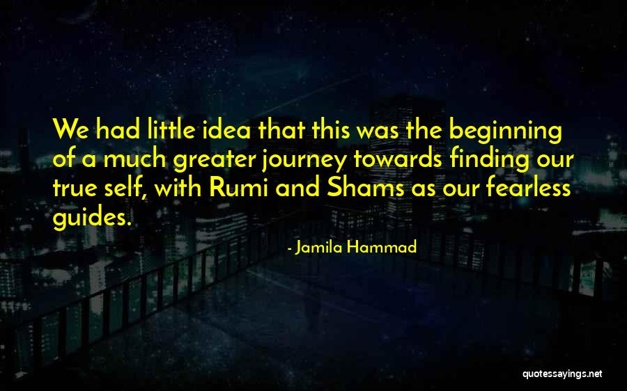 Beginning Of A Journey Quotes By Jamila Hammad Beginning Of A Journey Quotes By Jamila Hammad