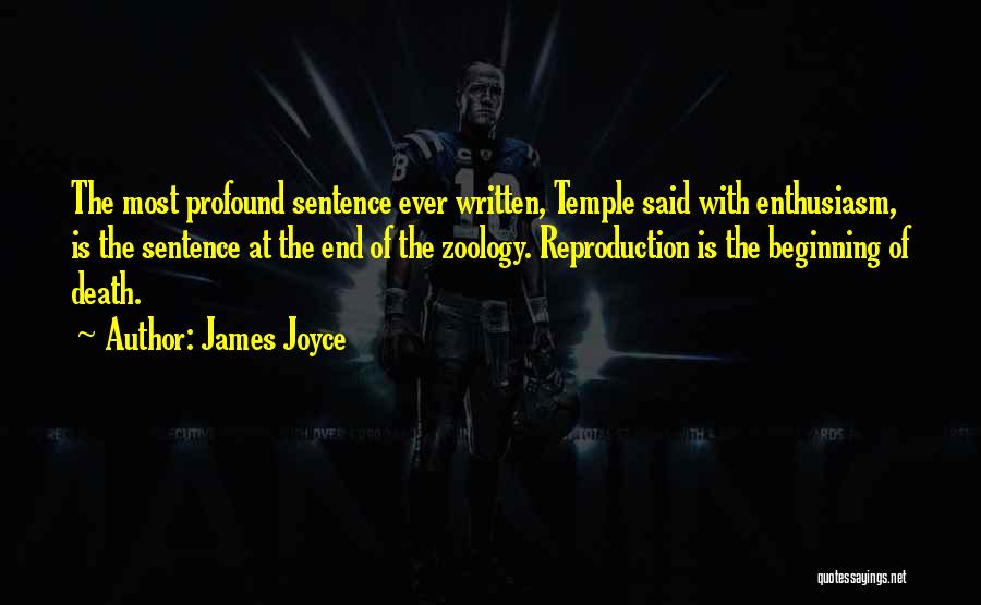 Beginning Of End Quotes By James Joyce