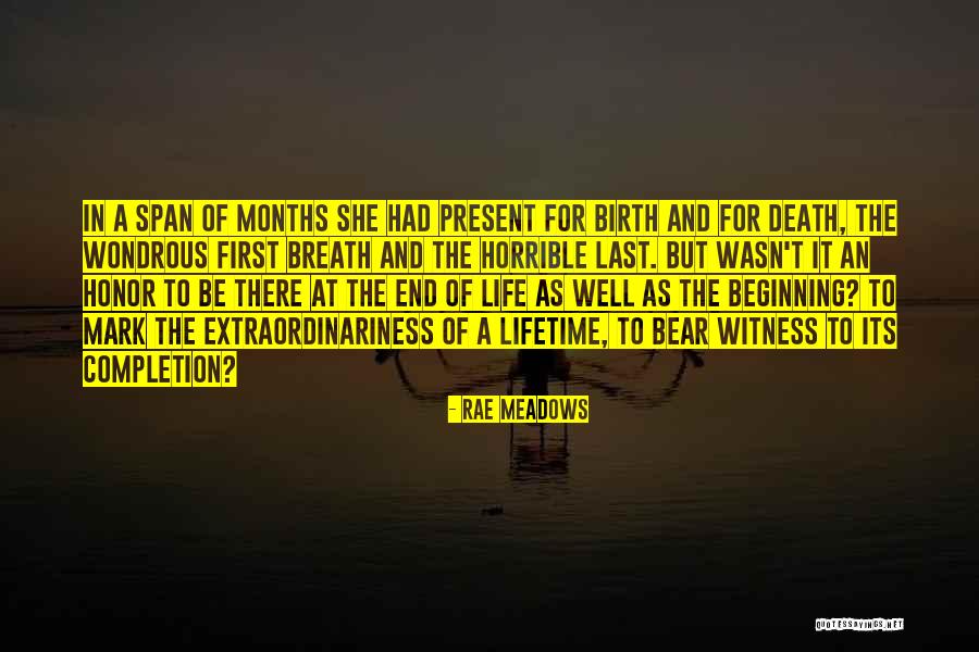 Beginning Of The End Quotes By Rae Meadows