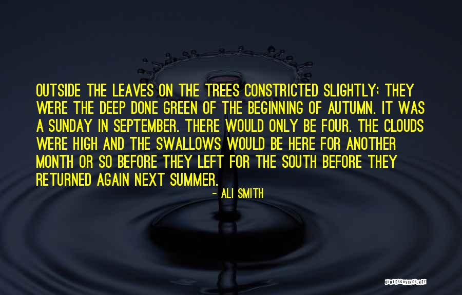 Beginning Of The Summer Quotes By Ali Smith