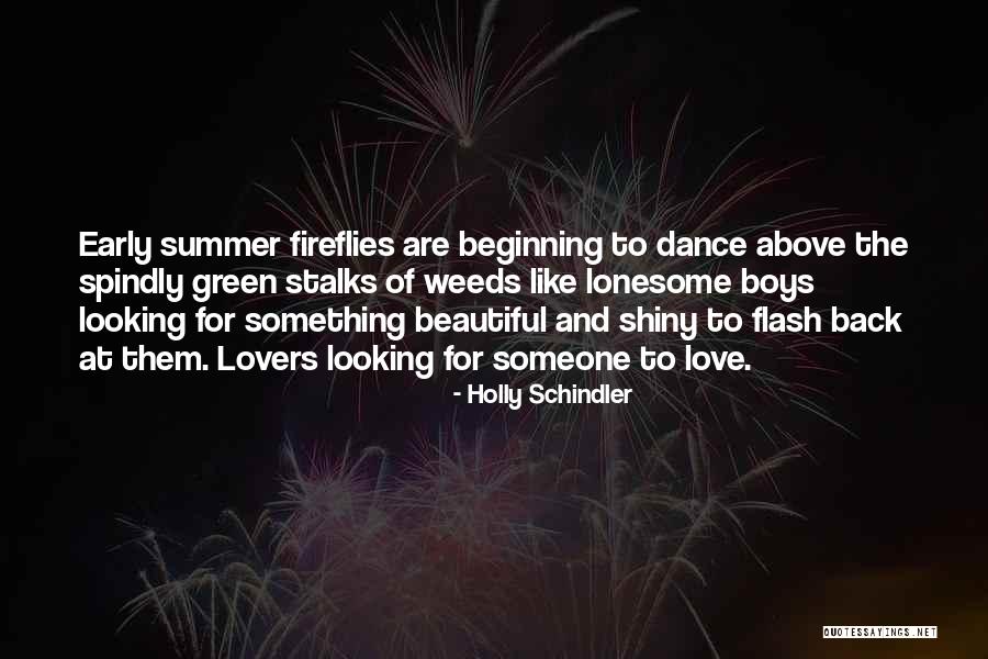 Beginning Of The Summer Quotes By Holly Schindler