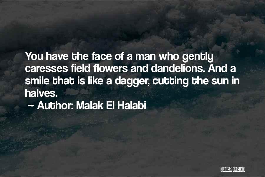 Beginning Relationship Quotes By Malak El Halabi