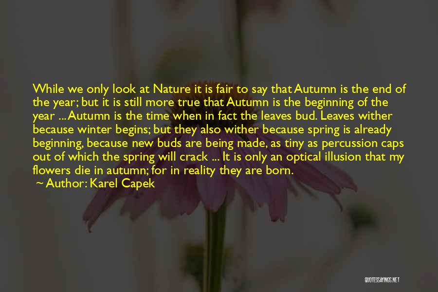 Beginning The New Year Quotes By Karel Capek