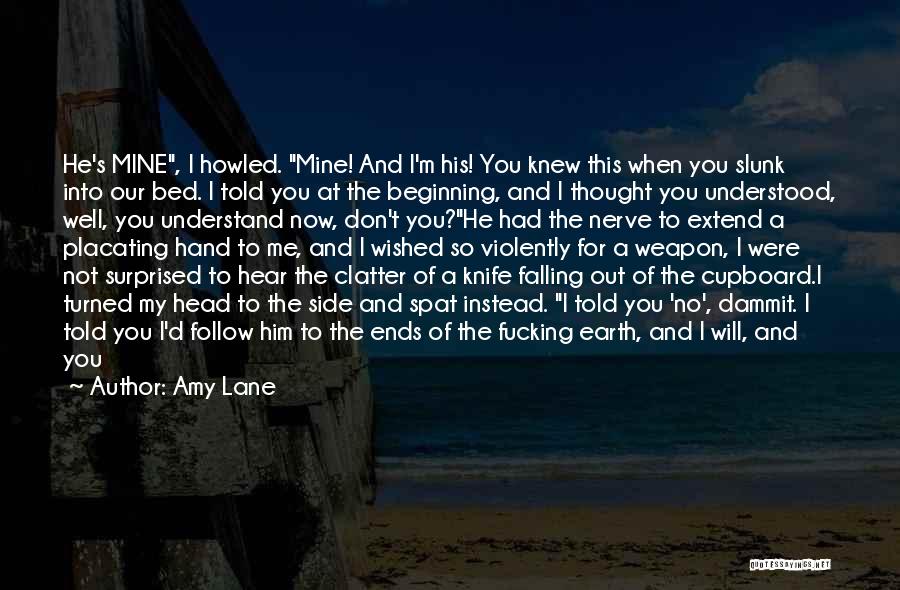 Beginning To Not Care Quotes By Amy Lane