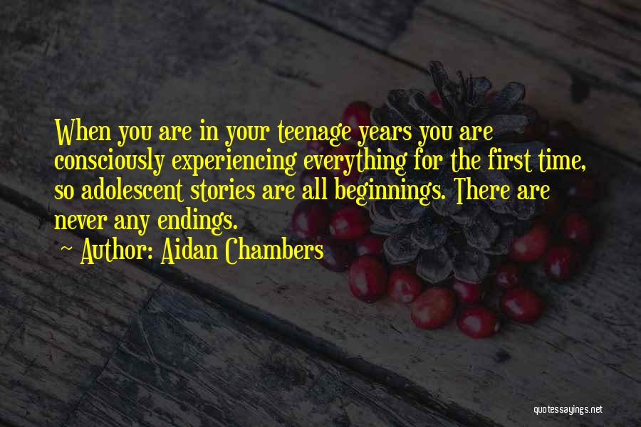 Beginnings Of Stories Quotes By Aidan Chambers