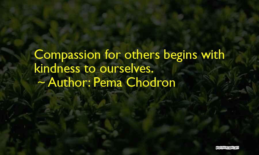 Begins Quotes By Pema Chodron