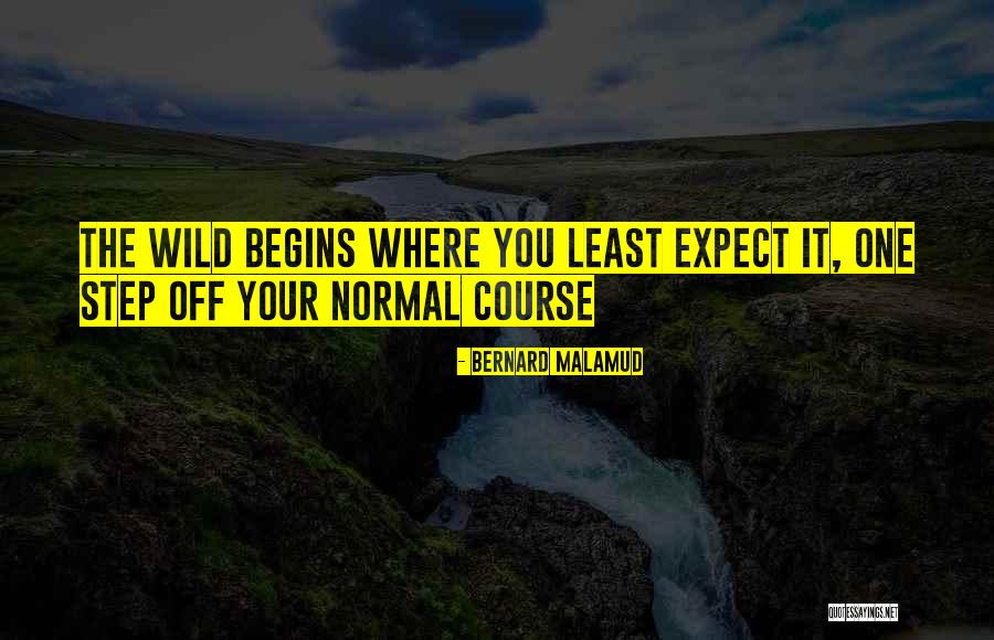 Begins With One Step Quotes By Bernard Malamud Begins With One Step Quotes By Bernard Malamud