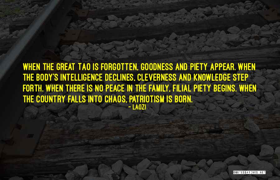 Begins With One Step Quotes By Laozi Begins With One Step Quotes By Laozi