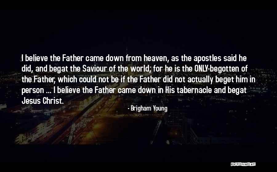 Begotten Quotes By Brigham Young