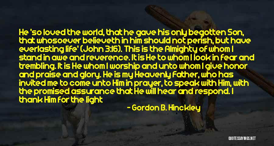 Begotten Quotes By Gordon B. Hinckley