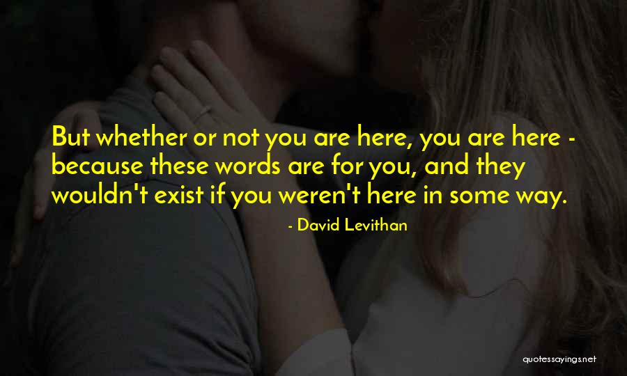 Begrafenissen Verstappen Quotes By David Levithan Begrafenissen Verstappen Quotes By David Levithan
