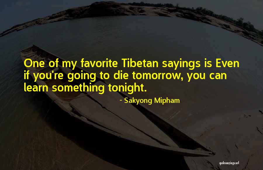 Begrudgingly Antonym Quotes By Sakyong Mipham Begrudgingly Antonym Quotes By Sakyong Mipham