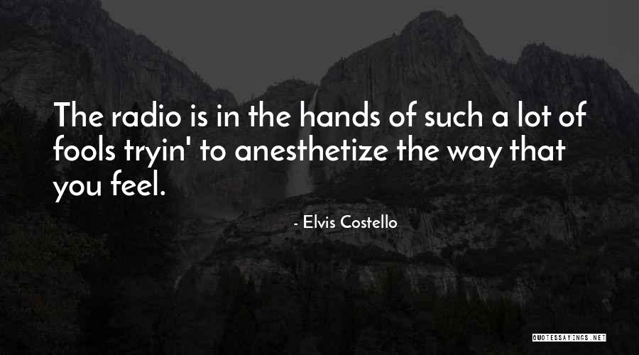 Beguiling The Beauty Quotes By Elvis Costello Beguiling The Beauty Quotes By Elvis Costello