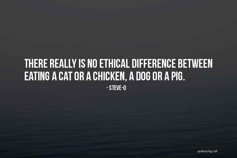 Behalve In Eng Quotes By Steve-O