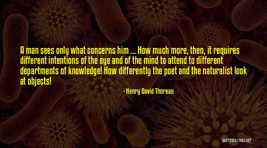 Behanzin Le Quotes By Henry David Thoreau Behanzin Le Quotes By Henry David Thoreau