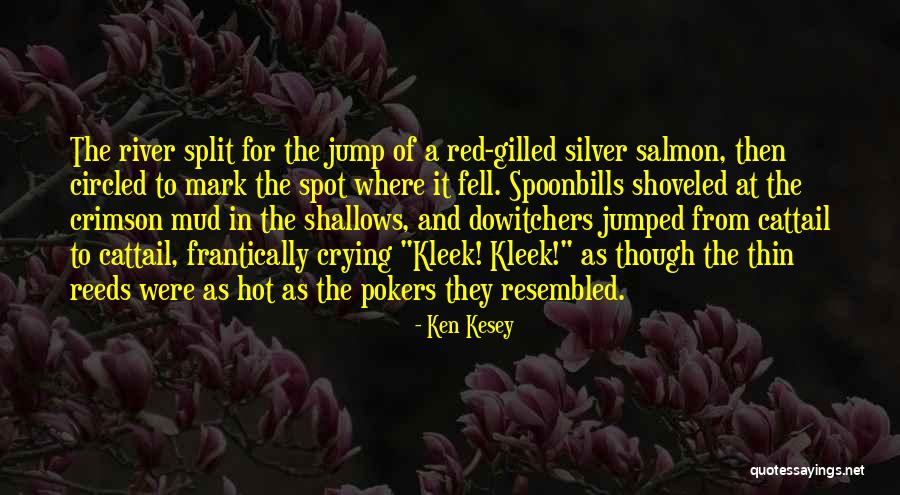 Beharie Lauren Quotes By Ken Kesey Beharie Lauren Quotes By Ken Kesey