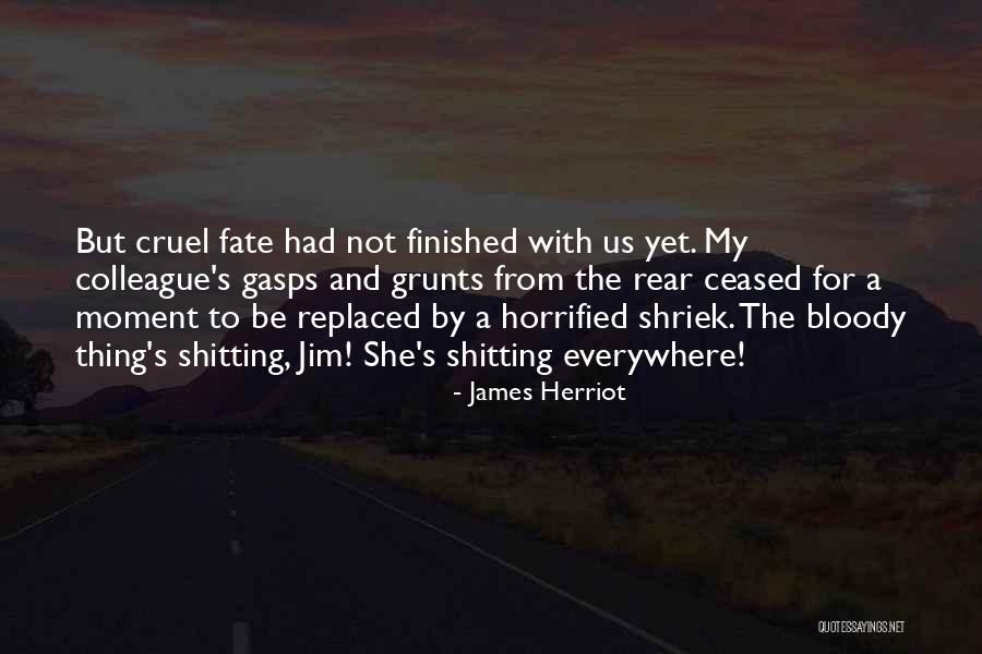 Behati Azalea Monzanto Quotes By James Herriot Behati Azalea Monzanto Quotes By James Herriot