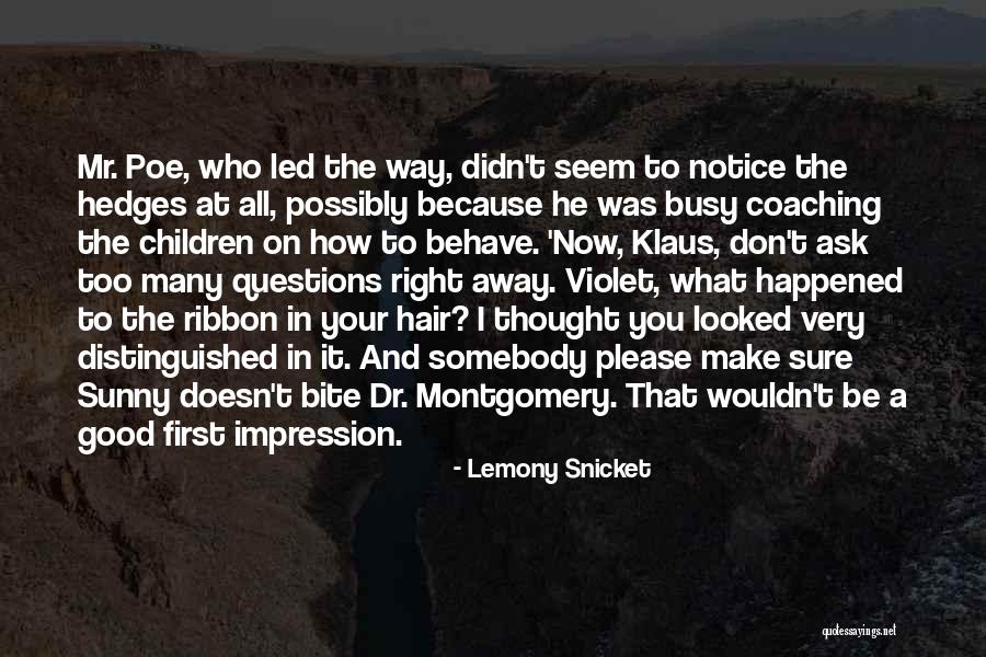Behave Good Quotes By Lemony Snicket Behave Good Quotes By Lemony Snicket