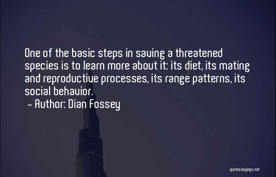 Behavior Patterns Quotes By Dian Fossey