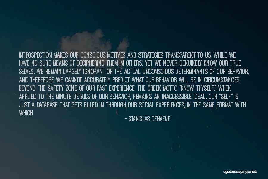 Behavior Safety Quotes By Stanislas Dehaene