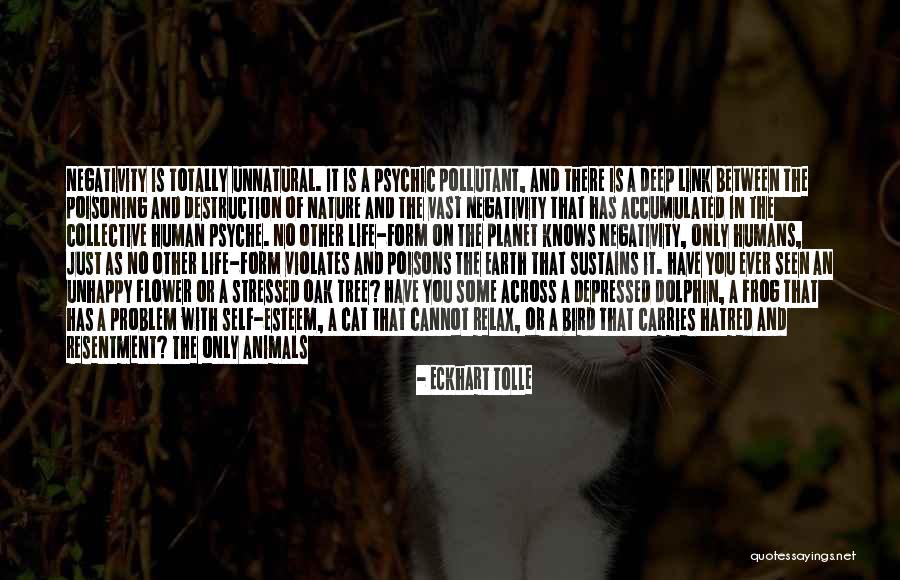 Behavior That Violates Quotes By Eckhart Tolle Behavior That Violates Quotes By Eckhart Tolle