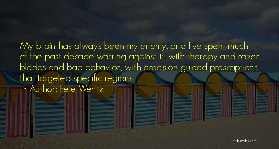 Behavior Therapy Quotes By Pete Wentz