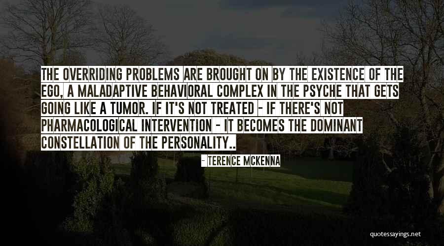 Behavioral Problems Quotes By Terence McKenna