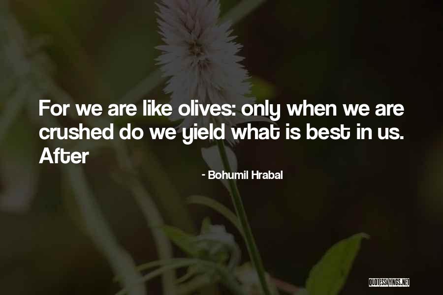 Behaviorists For Social Responsibility Quotes By Bohumil Hrabal Behaviorists For Social Responsibility Quotes By Bohumil Hrabal