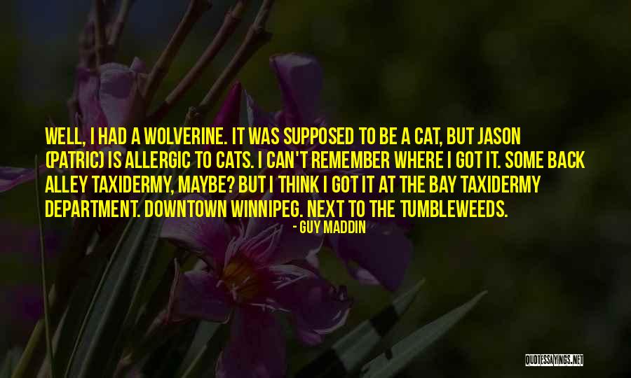 Behdad Bozorgnia Quotes By Guy Maddin Behdad Bozorgnia Quotes By Guy Maddin
