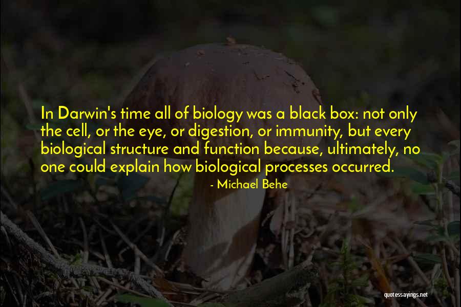 Behe Quotes By Michael Behe Behe Quotes By Michael Behe