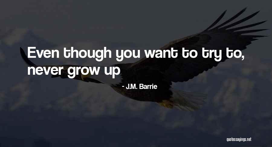Beheersen In Het Quotes By J.M. Barrie Beheersen In Het Quotes By J.M. Barrie
