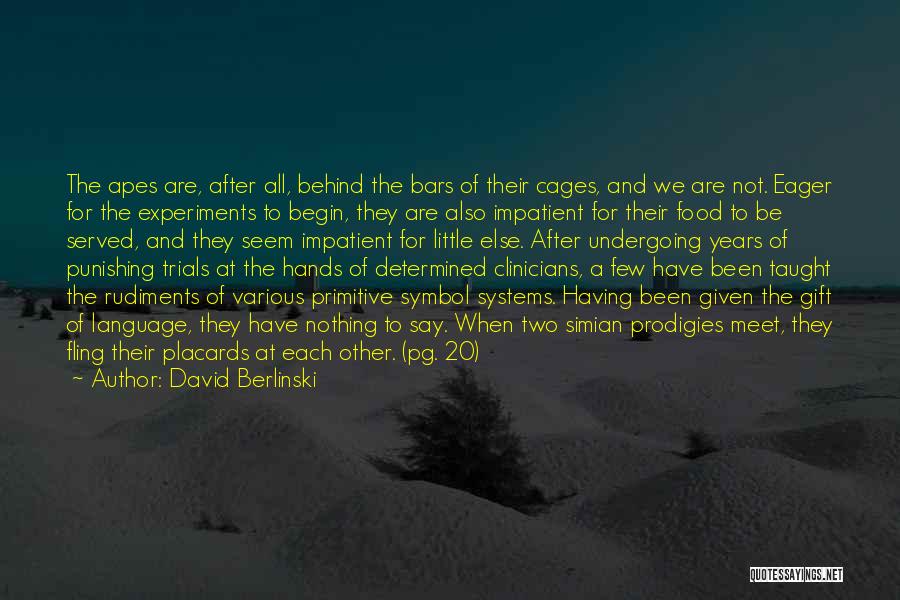 Behind Bars Quotes By David Berlinski