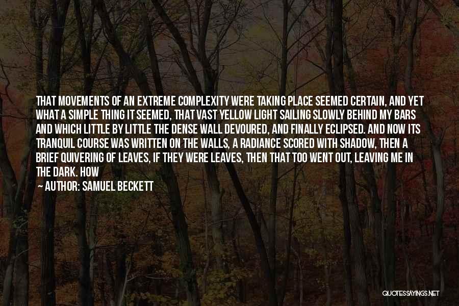 Behind Bars Quotes By Samuel Beckett