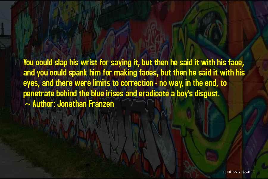 Behind Blue Eyes Quotes By Jonathan Franzen