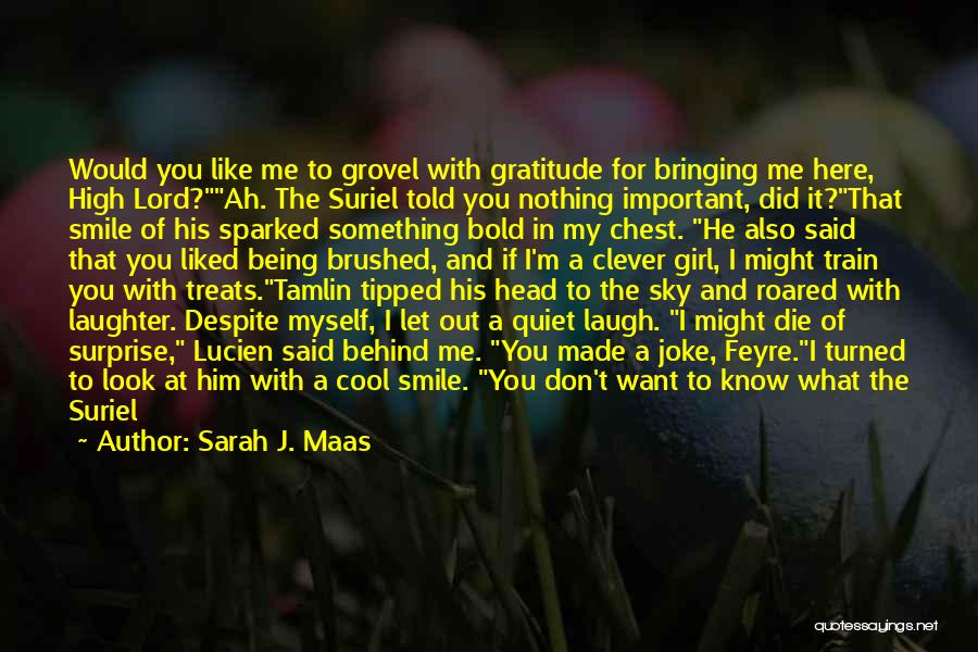 Behind His Smile Quotes By Sarah J. Maas